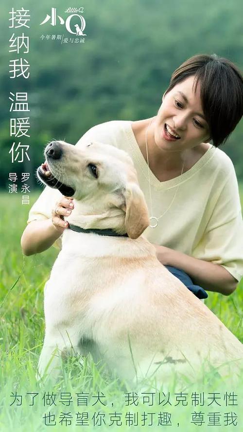 圣路易斯药文凭毕业证哪里有卖
